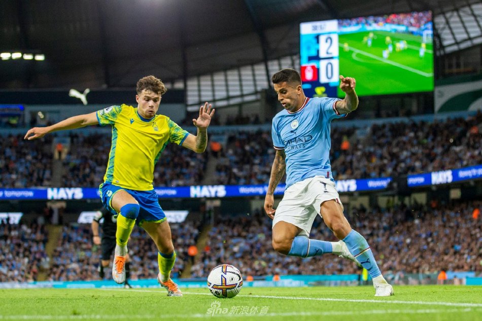 他的地位 他的地位